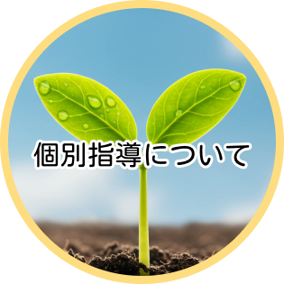 個別指導について
